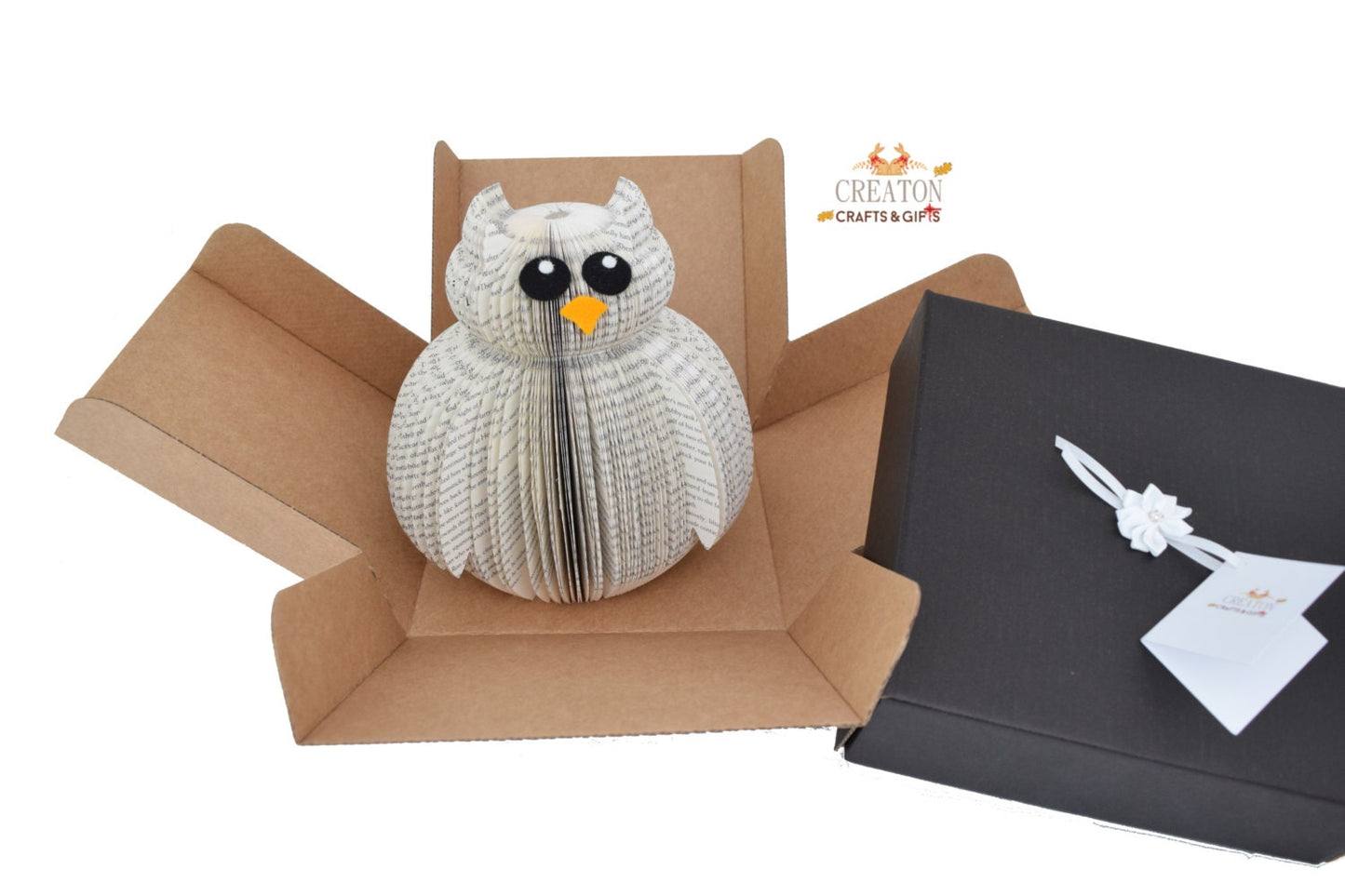 Owl Book Gift