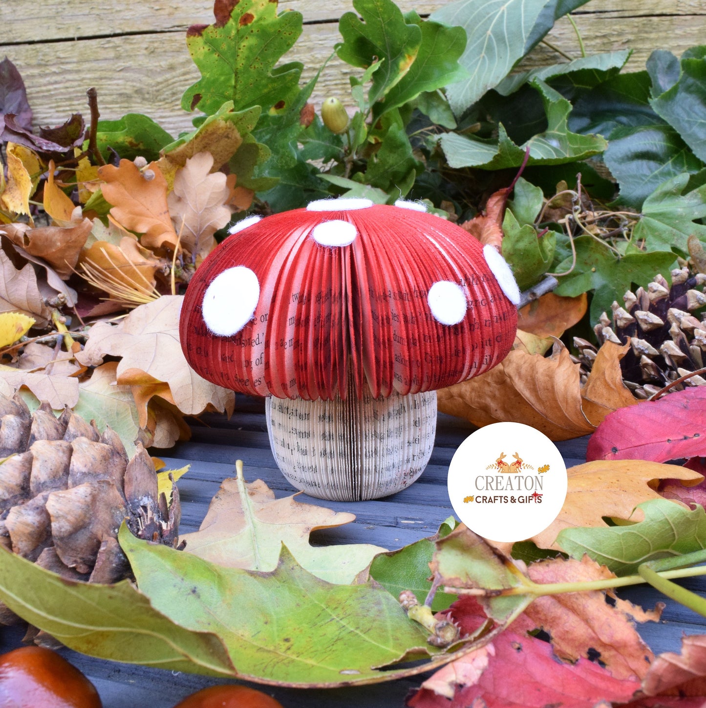 Toadstool Book Gift