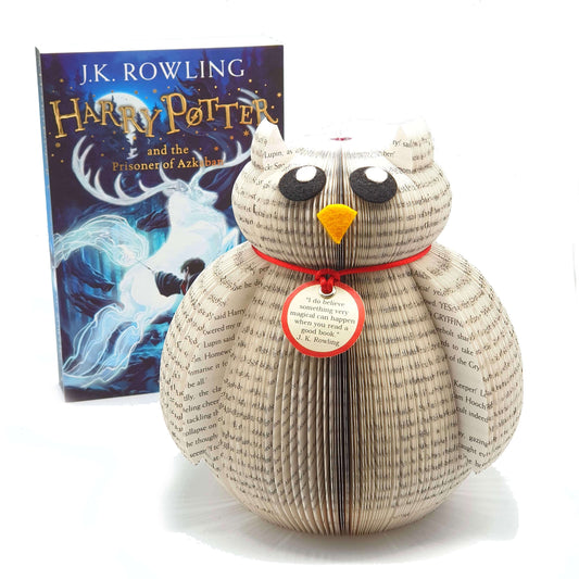 Hedwig Book Gift