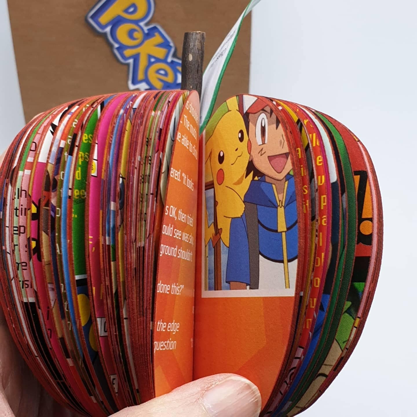 Pokémon Book Gift