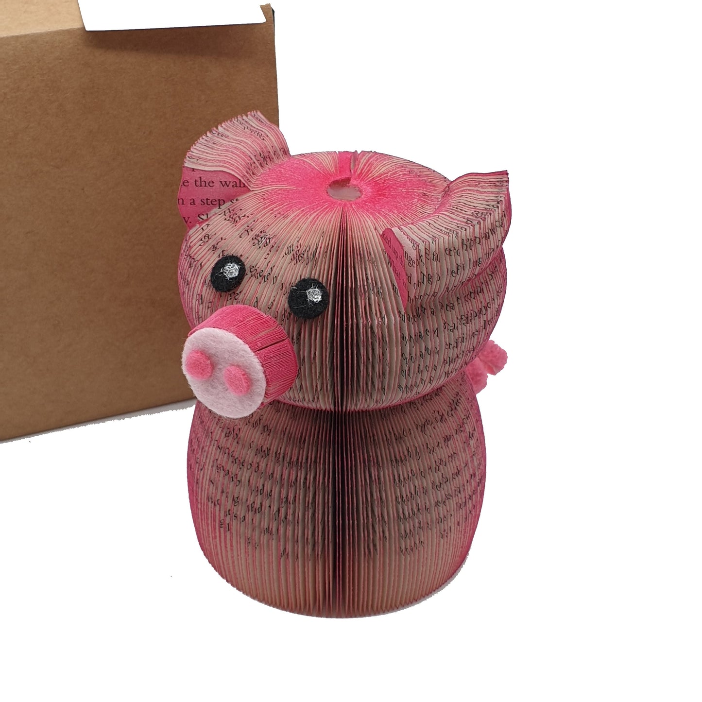 Mini Pig Book Gift