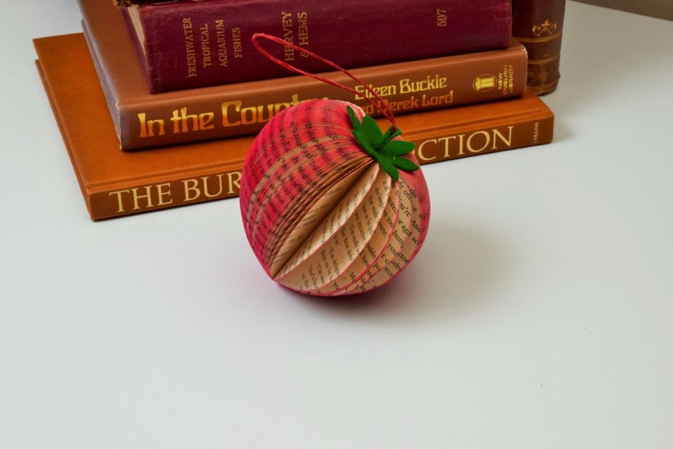 Strawberry Book Gift and Card