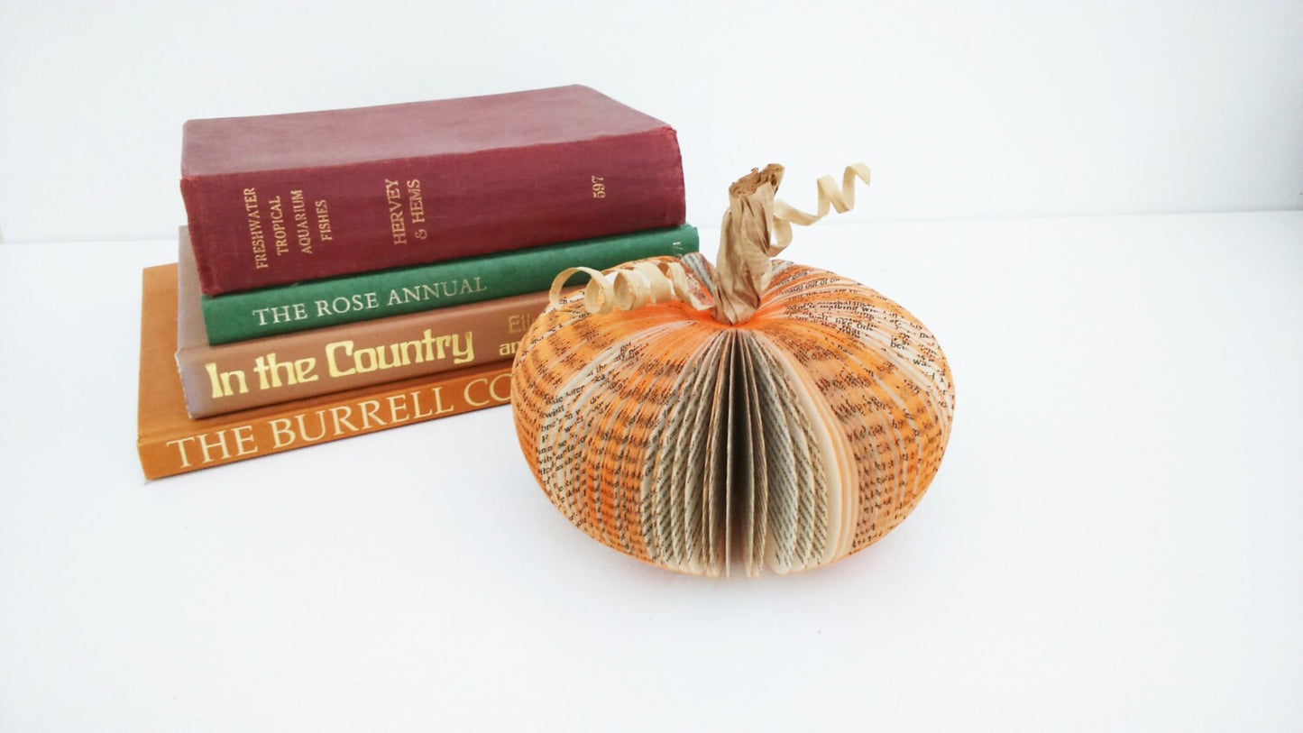 Small Pumpkin Book Gift